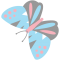 CBSM butterfly icon